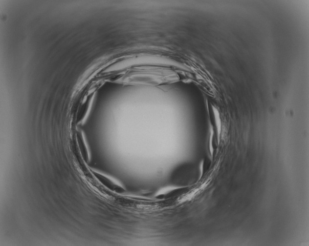 X0000085020101200703261231