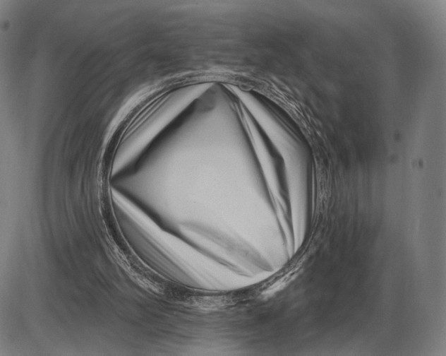 X0000085020102200703261231