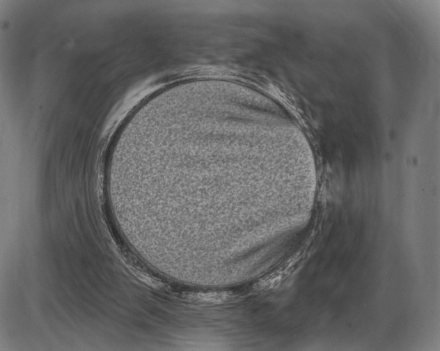 X0000085020103200703261231