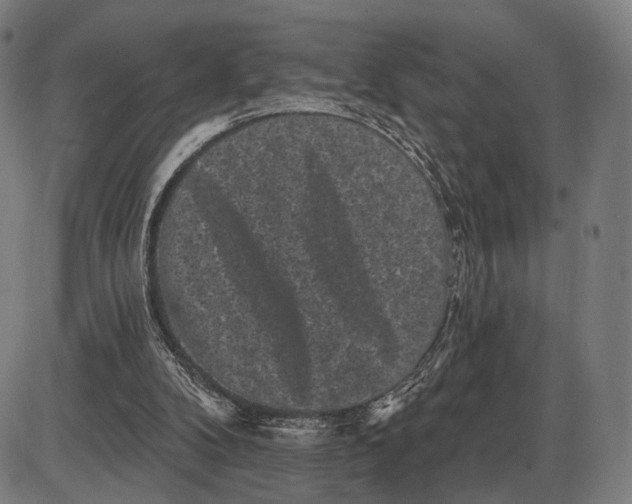 X0000085020104200703261231