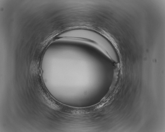 X0000085020105200703261231