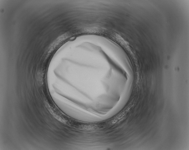 X0000085020106200703261231