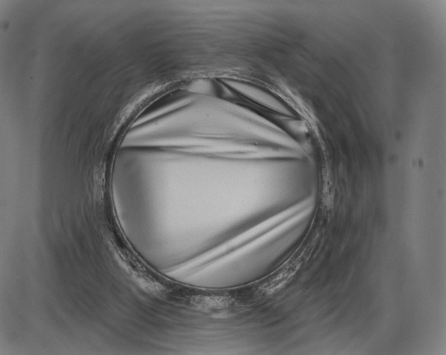 X0000085020107200703261231