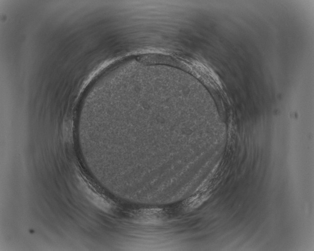 X0000085020108200703261231