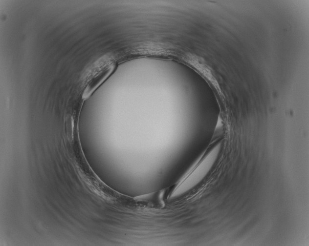 X0000085020109200703261231