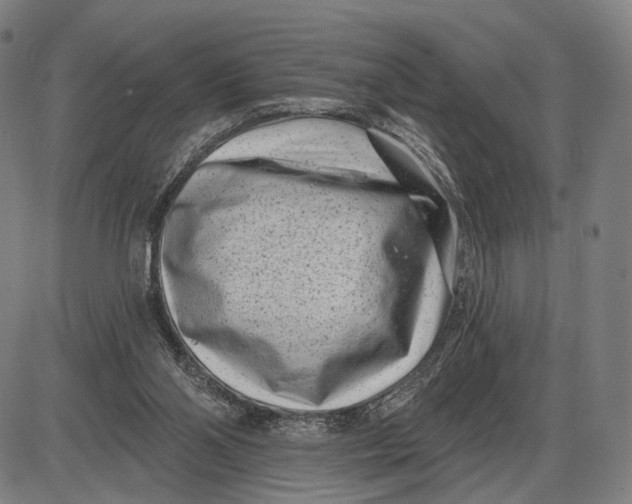 X0000085020110200703261231