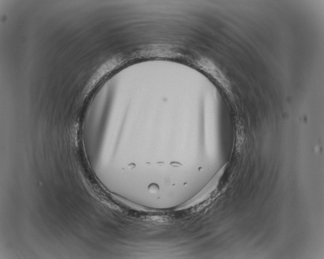 X0000085020111200703261231