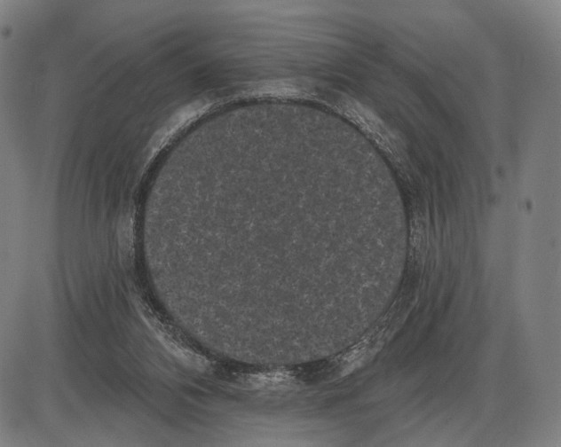 X0000085020112200703261231