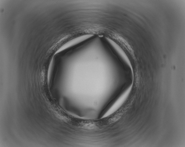 X0000085020113200703261231