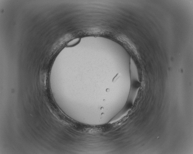 X0000085020115200703261231