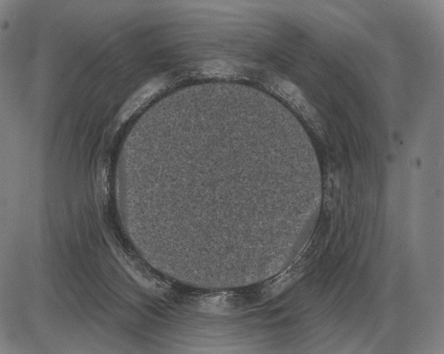 X0000085020116200703261231