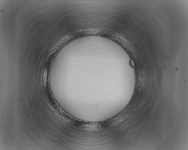 X0000085020118200703261230