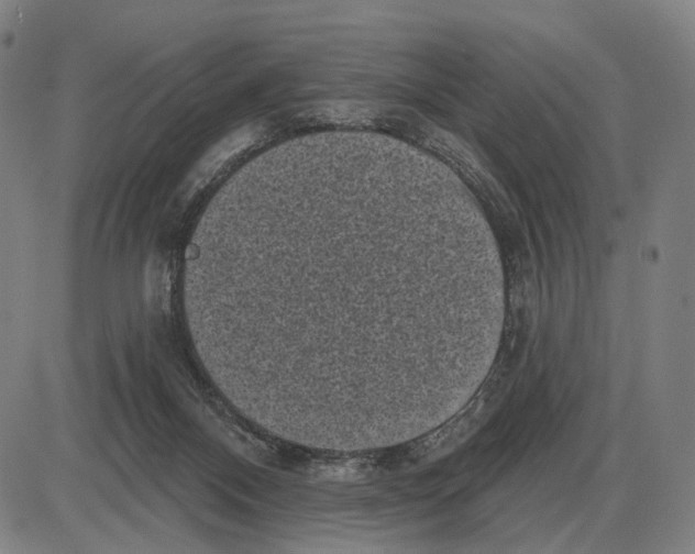 X0000085020120200703261230