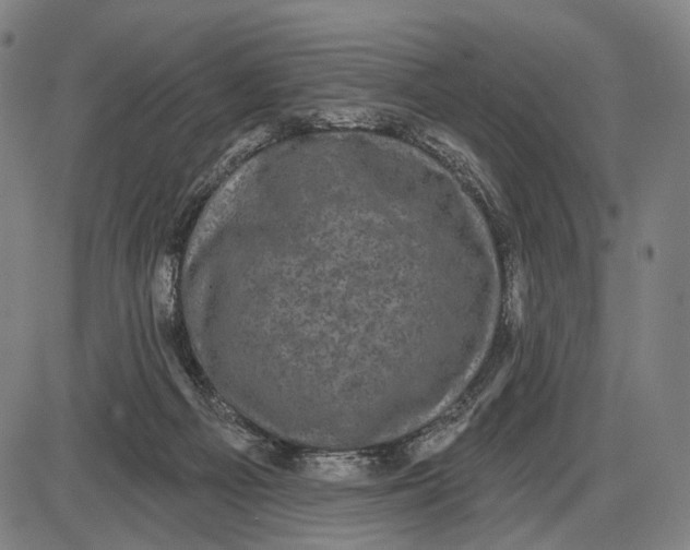 X0000085020121200703261230