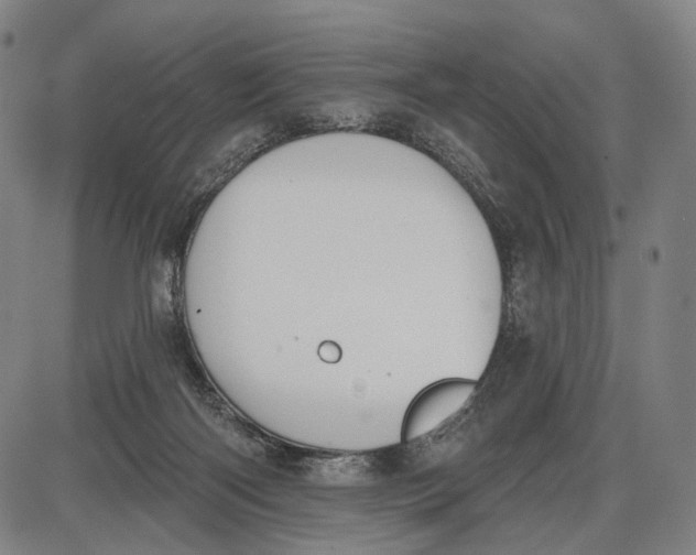 X0000085020122200703261230