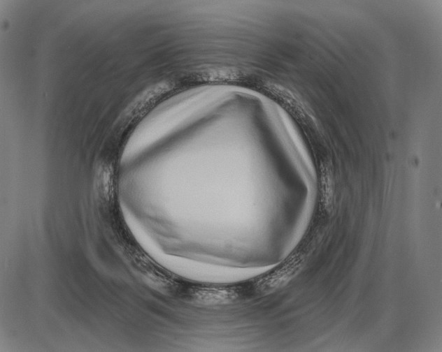 X0000085020123200703261230