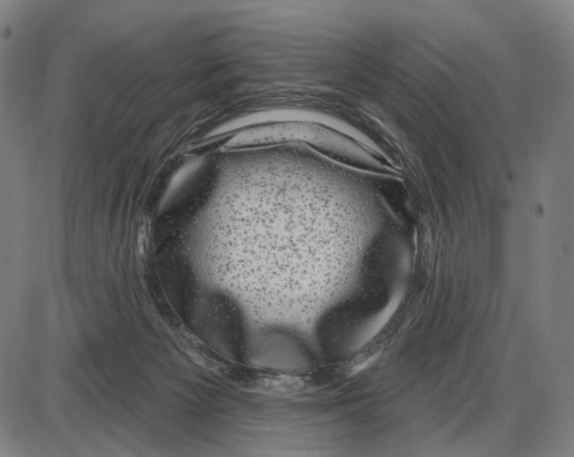 X0000085020125200703261230