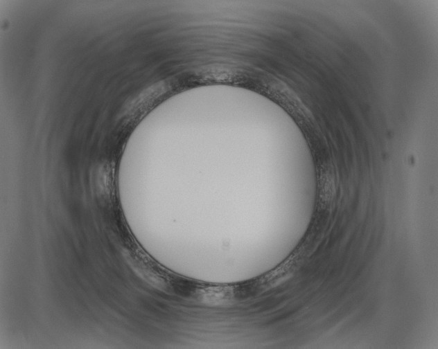 X0000085020126200703261230