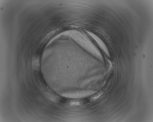 X0000085020127200703261230