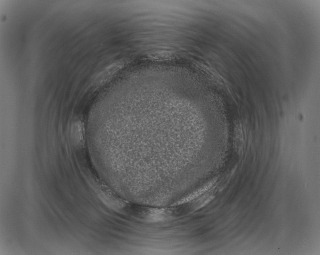 X0000085020130200703261230