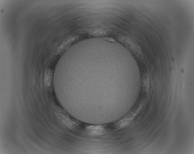 X0000085020133200703261230