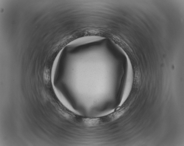 X0000085020135200703261230