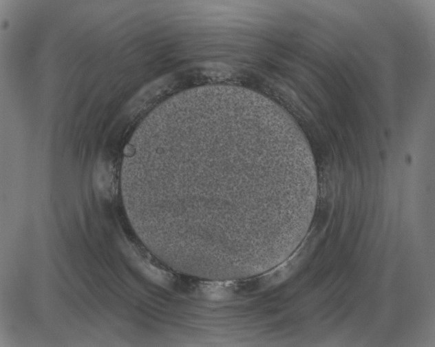 X0000085020136200703261230