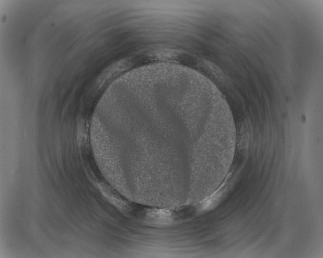 X0000085020140200703261230