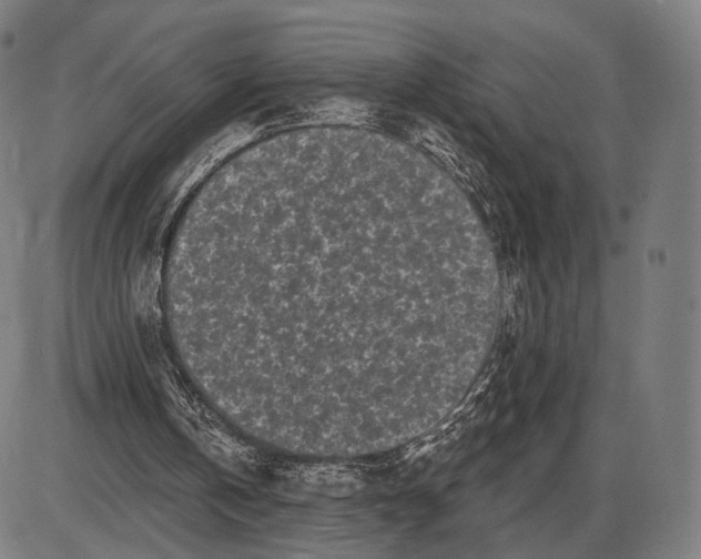 X0000085020146200703261229