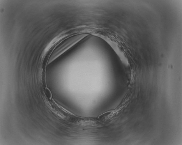 X0000085020150200703261229