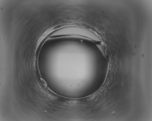X0000085020152200703261229