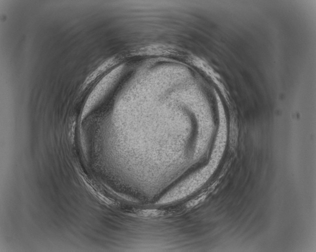 X0000085020153200703261229