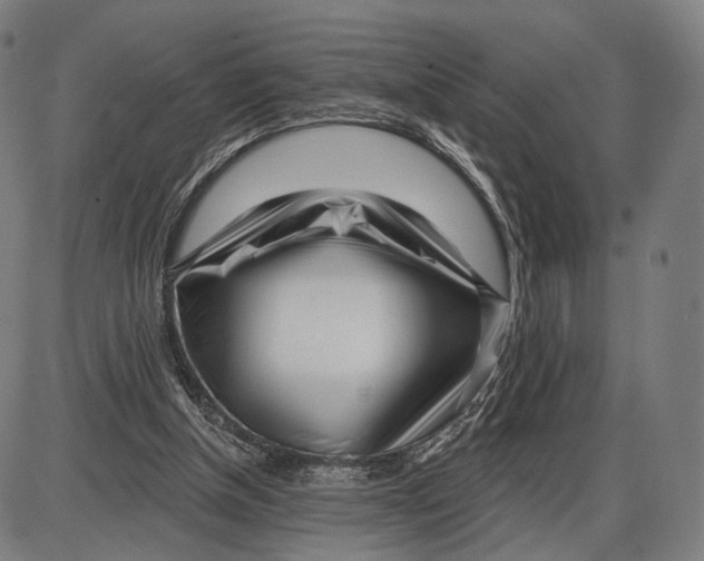 X0000085020154200703261229