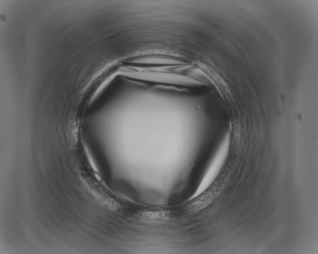 X0000085020160200703261229