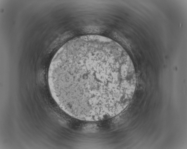 X0000085020162200703261230