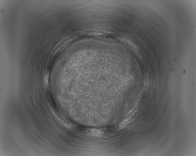 X0000085020166200703261230