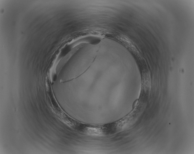 X0000085020167200703261230