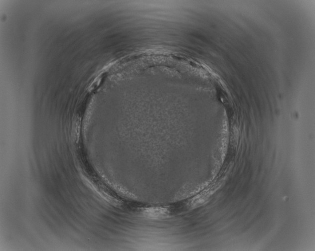 X0000085020168200703261230