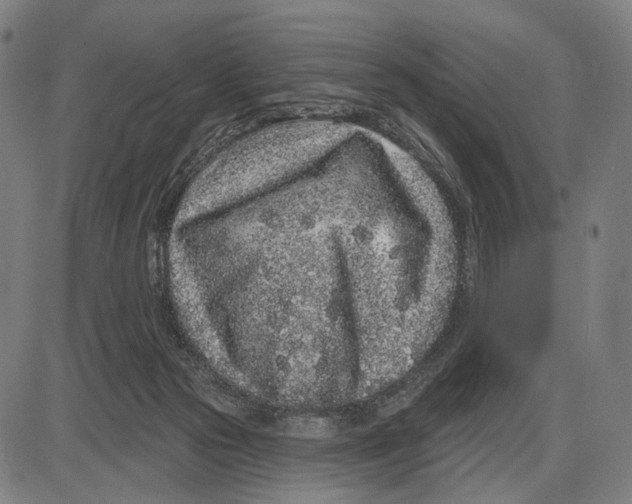 X0000085020169200703261230