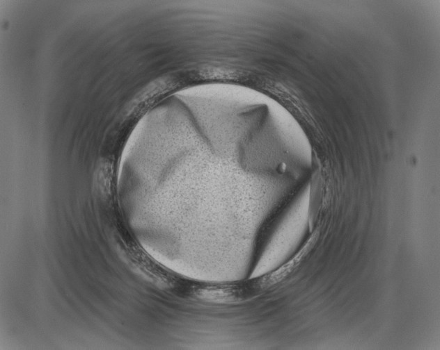 X0000085020171200703261230