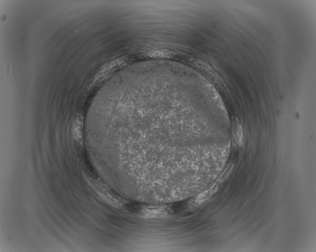 X0000085020175200703261230