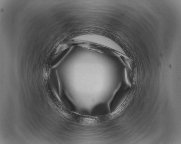 X0000085020176200703261230