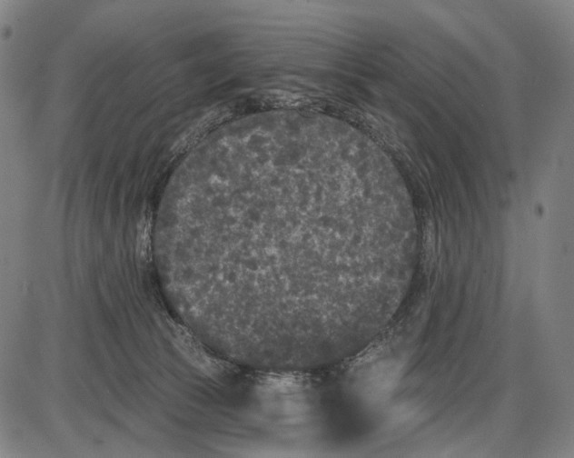 X0000085020177200703261230