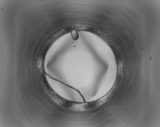 X0000085020178200703261230