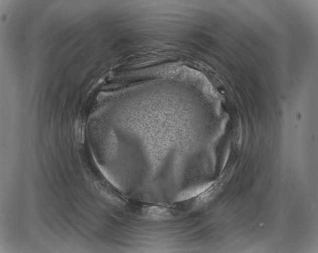 X0000085020180200703261230