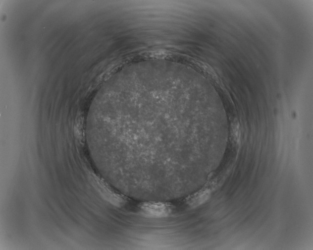 X0000085020181200703261230