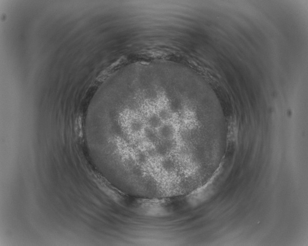 X0000085020182200703261230