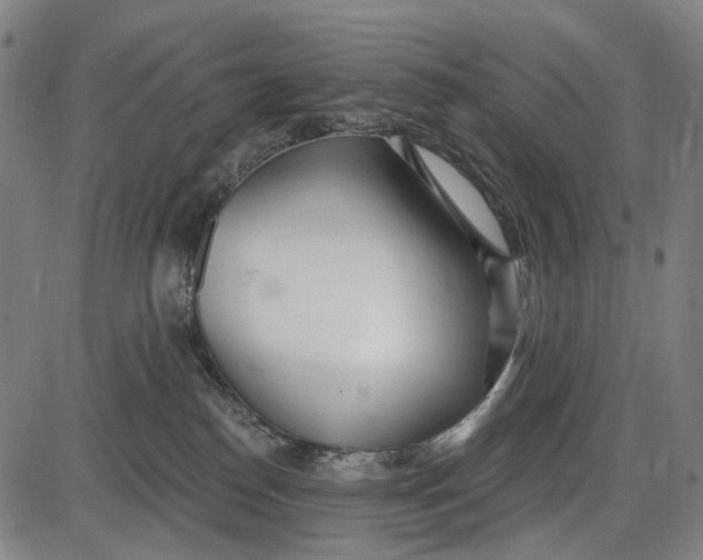 X0000085020186200703261230