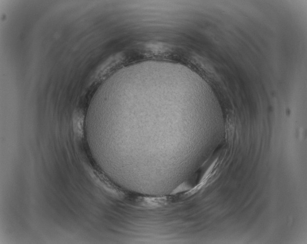 X0000085020188200703261230