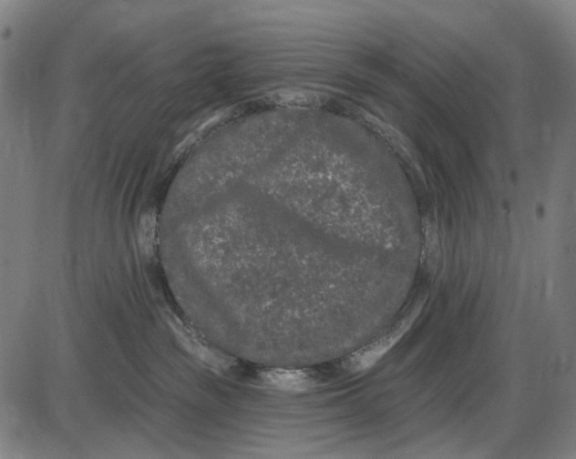 X0000085020189200703261230